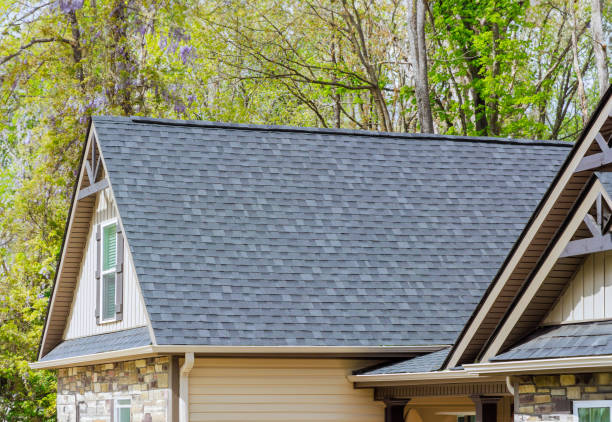 Best Gutter Replacement  in Henderson, KY